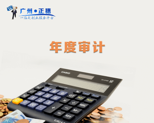 年度財(cái)務(wù)報(bào)表審計(jì)（資產(chǎn)總額或年收入在50萬(wàn)以內(nèi)）