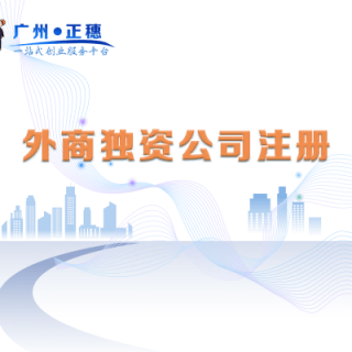 外商獨(dú)資公司注冊(cè)