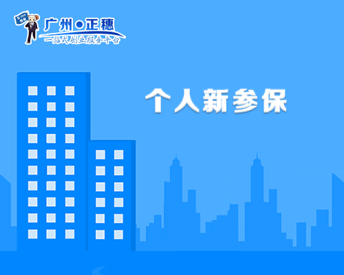 個人新參保
