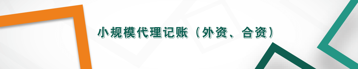 小規(guī)模代理記賬（外資、合資）