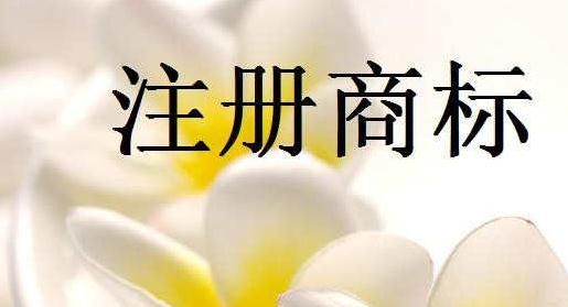 商標注冊怎么進行