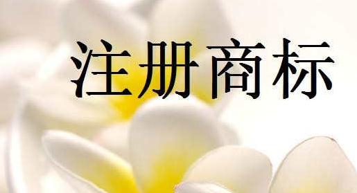 廣州公司如何正確注冊香港商標
