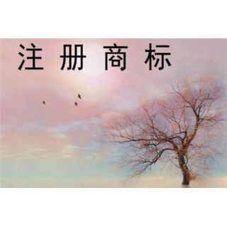 廣州商標(biāo)注冊(cè)了還能被撤銷 這些問(wèn)題你一定要重視