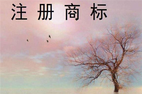 如何在網(wǎng)上專利注冊 專利注冊申請流程有哪些