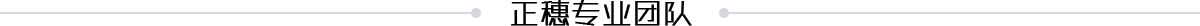 正穗專業(yè)團(tuán)隊(duì)